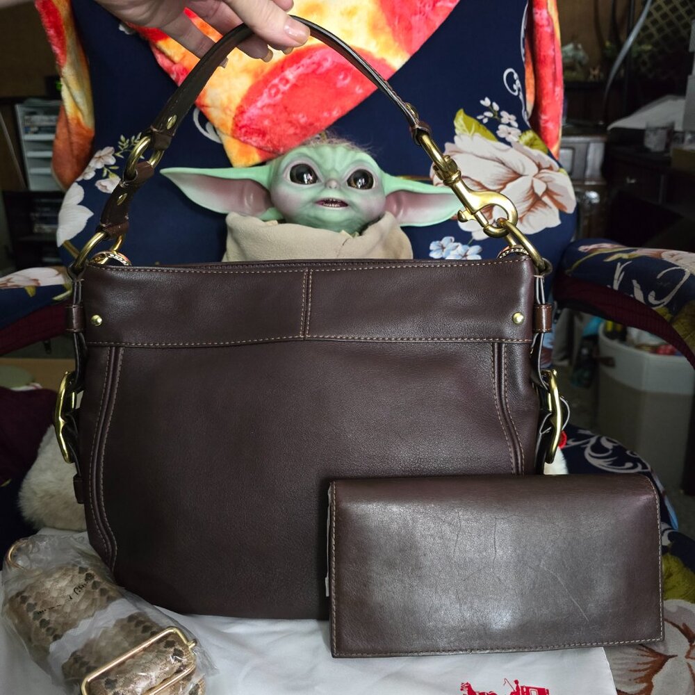 Beautiful Coach Carly Chestnut leather bag - NWOT with Gorgeous Leather Wallet - Picture 2 of 14